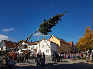 Kerbebaumstellen 2022