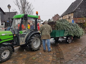 Weihnachtsbaumstellen 2022