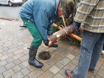 Weihnachtsbaumstellen 2022