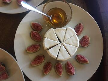 Altenburger Ziegencamembert