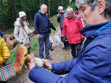Pilzwanderung