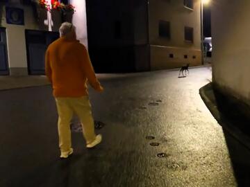 Rehkitz in der Jahnstraße