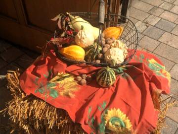 Gusbacher Herbst 2023