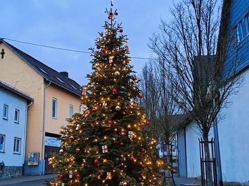 Weihnachtsbaum 2025